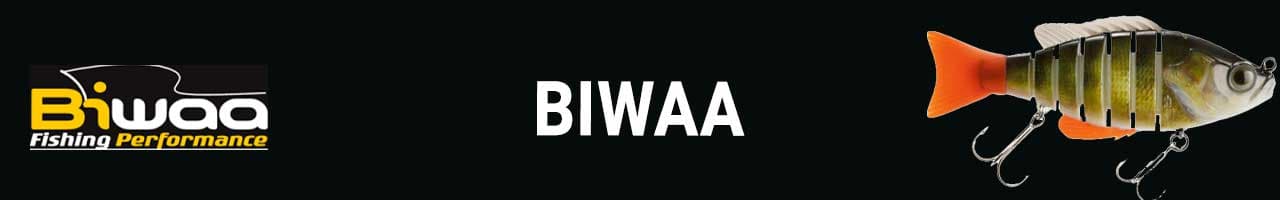 Biwaa