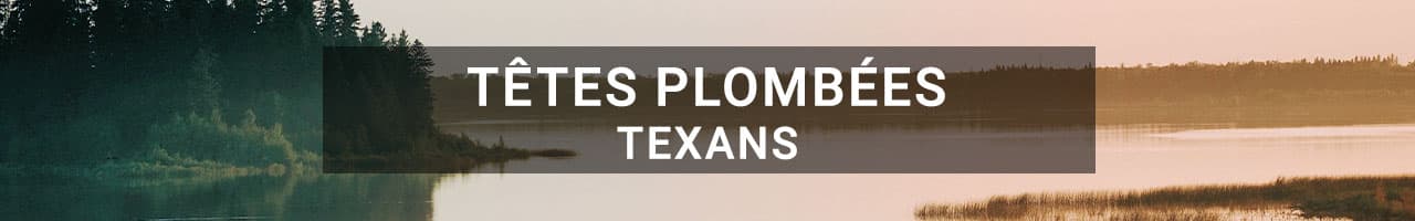 Texans