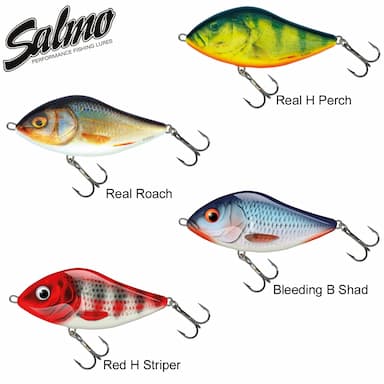 Leurre Slider Sinking Salmo 12cm