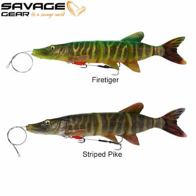 Leurre 4D Line Thru Savage Gear Pike 25CM 105G Slow Sink